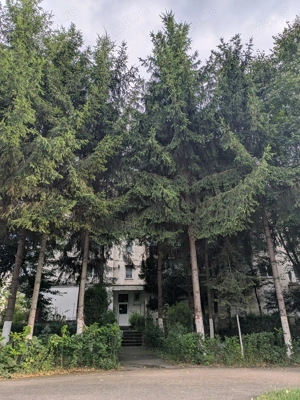 Oferim pentru închiriere ap.2 camere ,zonă centrală și liniștită 