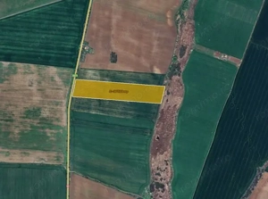 Teren extravilan 87500 mp