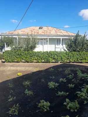 Vând teren cu casa Pechea