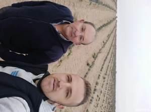 butasi de lavanda campania 2025-2026