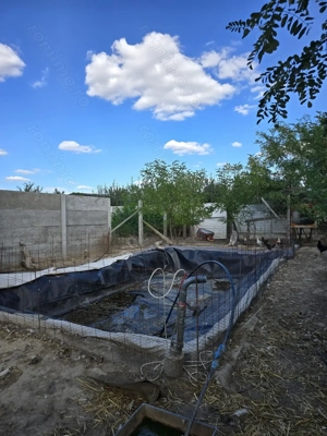 Parta-casa si teren 719 mp-parter - imagine 15