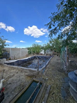 Parta-casa si teren 719 mp-parter - imagine 16