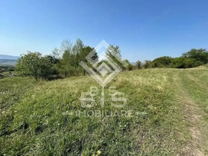 Teren Extravilan - 10'000 Mp - Valea Budacului (Bistrita)