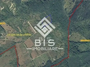 Teren Extravilan - 10'000 Mp - Valea Budacului (Bistrita) - imagine 4