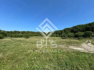 Teren Extravilan - 10'000 Mp - Valea Budacului (Bistrita) - imagine 3