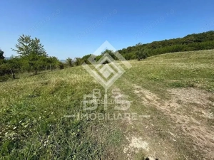 Teren Extravilan - 10'000 Mp - Valea Budacului (Bistrita) - imagine 2