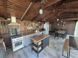 Vila premium, 6 camere, mobilată și utilată, Vladimirescu, comision 0 - imagine 9