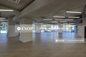 Cladire de birouri de vanzare, zona Victoriei, 9750 mp, ID 1245.99 - imagine 4