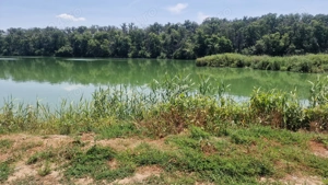 Teren 2110 mp de vanzare   Brănești, Ilfov, locație unică lângă lac și pădure - imagine 4