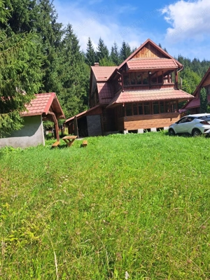 Cabana in mijlocul naturii, de vanzare, zona Lunca Bradului - Salard