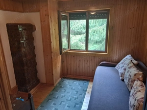 Cabana in mijlocul naturii, de vanzare, zona Lunca Bradului - Salard - imagine 3