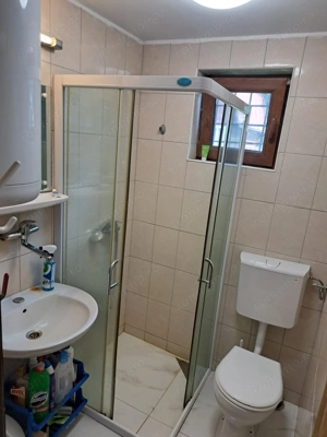 Cabana in mijlocul naturii, de vanzare, zona Lunca Bradului - Salard - imagine 2