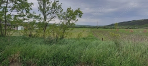 De vânzare teren extravilan cu potențial   Sat Luna de Jos, Comuna Dăbâca