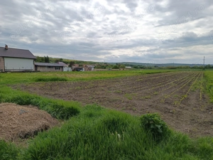  De vânzare teren extravilan cu potențial   Sat Luna de Jos, Comuna Dăbâca  - imagine 5