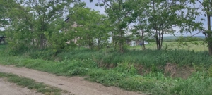  De vânzare teren extravilan cu potențial   Sat Luna de Jos, Comuna Dăbâca  - imagine 4