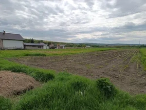  De vânzare teren extravilan cu potențial   Sat Luna de Jos, Comuna Dăbâca  - imagine 2