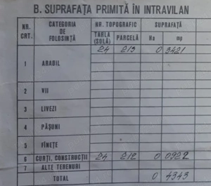 Casa si teren in Teleorman  - imagine 4