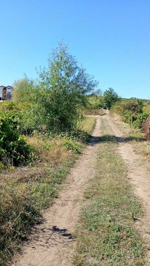 De vanzare teren extravilan arabil si vie.Pret 4 euro m.p. - imagine 7