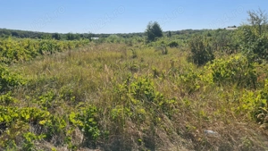 De vanzare teren extravilan arabil si vie.Pret 4 euro m.p. - imagine 4