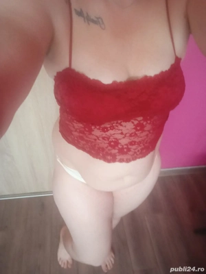 încercă strada ursului bloc 2   poze reale in fiecare zi de la ora 9 la 20