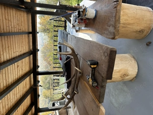 Vila Tocile comuna Sadu - imagine 3