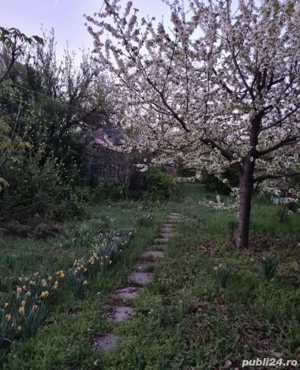 Teren de vanzare Otopeni - imagine 9