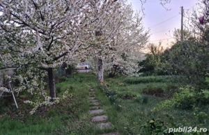 Teren de vanzare Otopeni - imagine 6