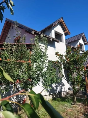 Vand casa la iesirea din Timisoara - imagine 3