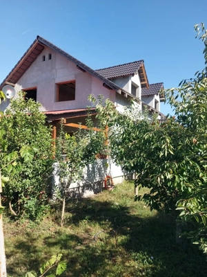 Vand casa la iesirea din Timisoara - imagine 4