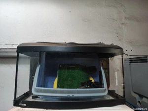 acvariu cu pompă încălzitor termometru insulă și lumină  - imagine 2 acvariu cu pompă încălzitor termometru insulă și lumină  - imagine 2