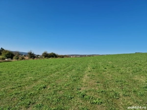 vand teren intravilan agricol 4500 mp in snagov la 15000 euro, - imagine 3