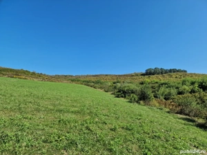 vand teren intravilan agricol 4500 mp in snagov la 15000 euro, - imagine 4