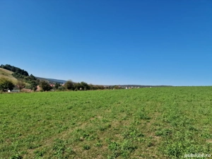 vand teren intravilan agricol 4500 mp in snagov la 15000 euro, - imagine 2