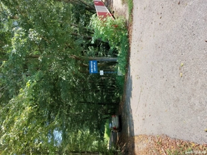 Surduc de vanzare 3 parcele de 966 mp fiecare teren cu padure lacul Surduc - imagine 5