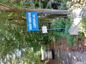 Surduc de vanzare 3 parcele de 966 mp fiecare teren cu padure lacul Surduc - imagine 4