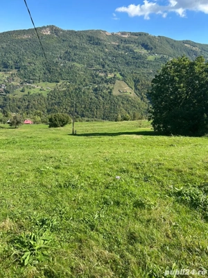 vand teren Muntele Rece - imagine 3