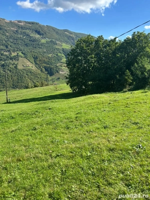 vand teren Muntele Rece - imagine 4