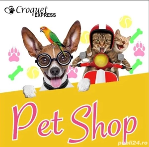 Angajăm Consilier Vânzări Petshop cu experiență în domeniu