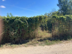 Teren intravilan Darmanesti Dambovita 212 mp