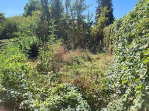 Teren intravilan Darmanesti Dambovita 212 mp - imagine 3