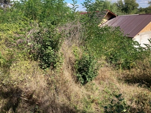 Teren intravilan Darmanesti Dambovita 212 mp - imagine 7