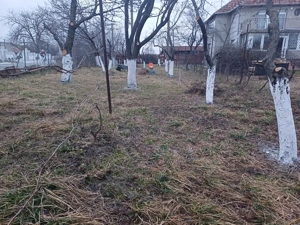 De vânzare direct de la proprietar   Teren intravilan cu casă, în spatele clădirii VOX  Torontal - imagine 2