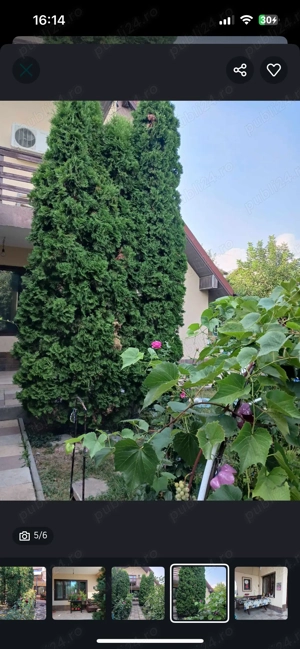 Casa P+1+Pod 145 mp + teren total 1000 mp + utilitati - imagine 4