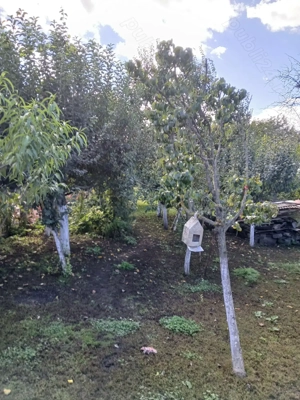 Casa de vanzare - imagine 8