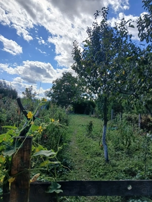 Casa de vanzare - imagine 7