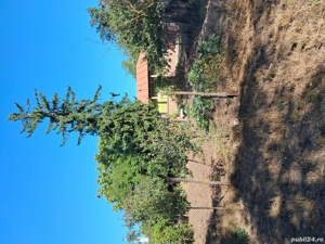 Casa de vanzare - imagine 2 Casa de vanzare - imagine 2