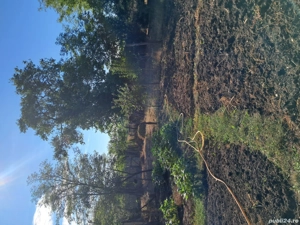 Casa de vanzare - imagine 5 Casa de vanzare - imagine 5