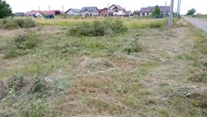 Parcela pentru casa in Mosnita - imagine 2