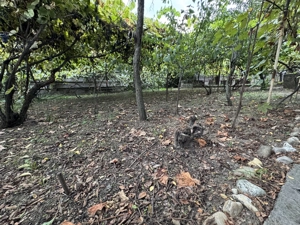 Casă bătrânească renovabila , 1000mp teren  30.000 euro negociabil  Balteni - imagine 9