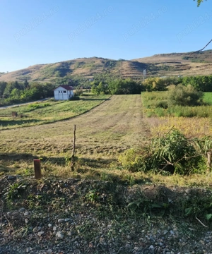 Vând 1200m teren intravilan și 1700m teren extravilan în Comuna Căianu, jud. Cluj - imagine 2